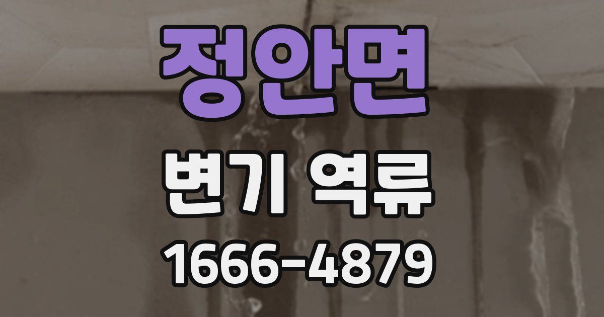 정안면 변기 역류