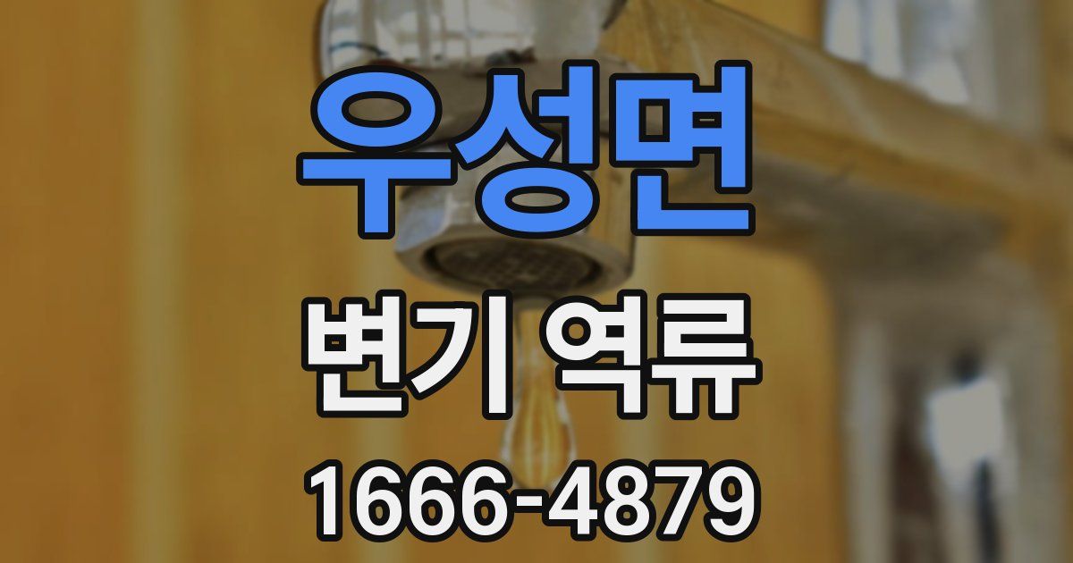 우성면 변기 역류