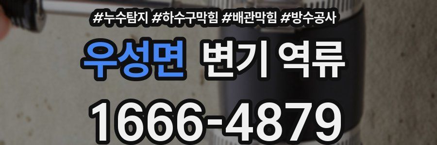 우성면 변기 역류