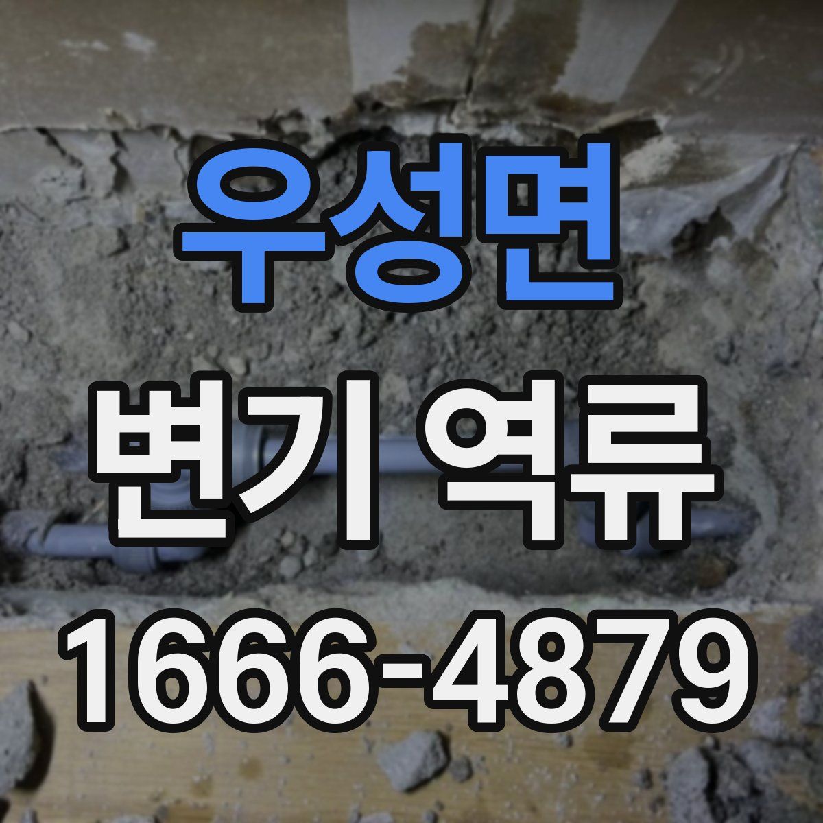 우성면 변기 역류