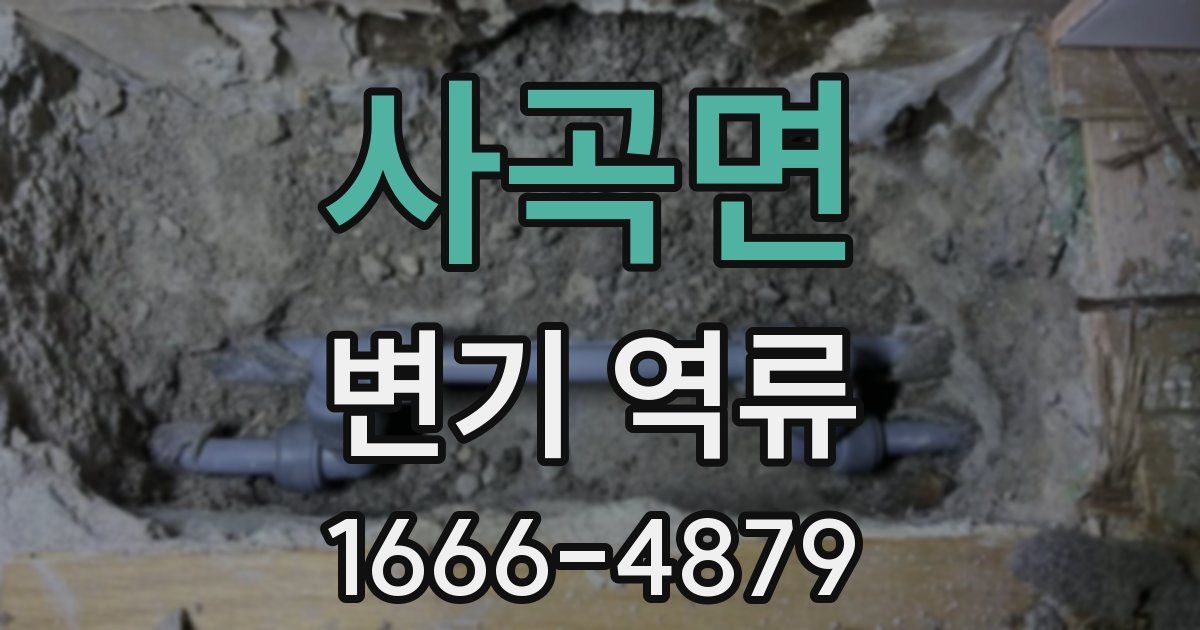 사곡면 변기 역류