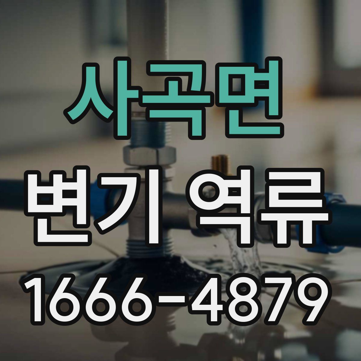 사곡면 변기 역류