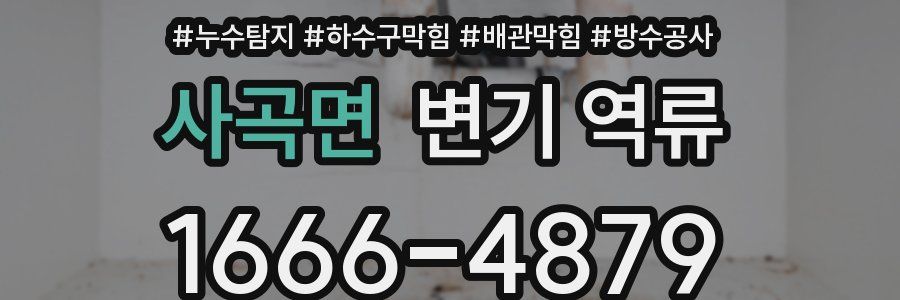 사곡면 변기 역류