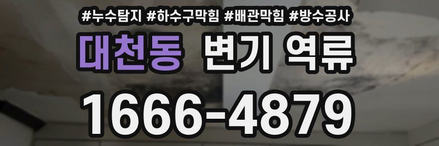 대천동 변기 역류