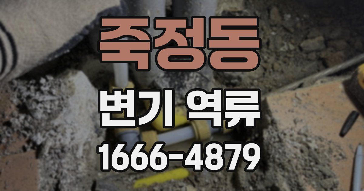 죽정동 변기 역류