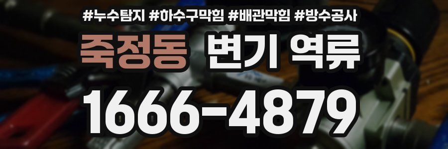 죽정동 변기 역류