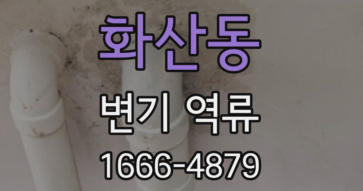 화산동 변기 역류