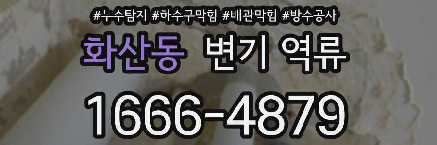 화산동 변기 역류