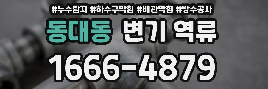 동대동 변기 역류