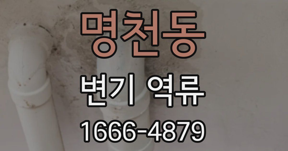 명천동 변기 역류