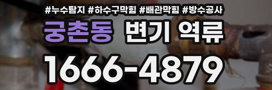 궁촌동 변기 역류