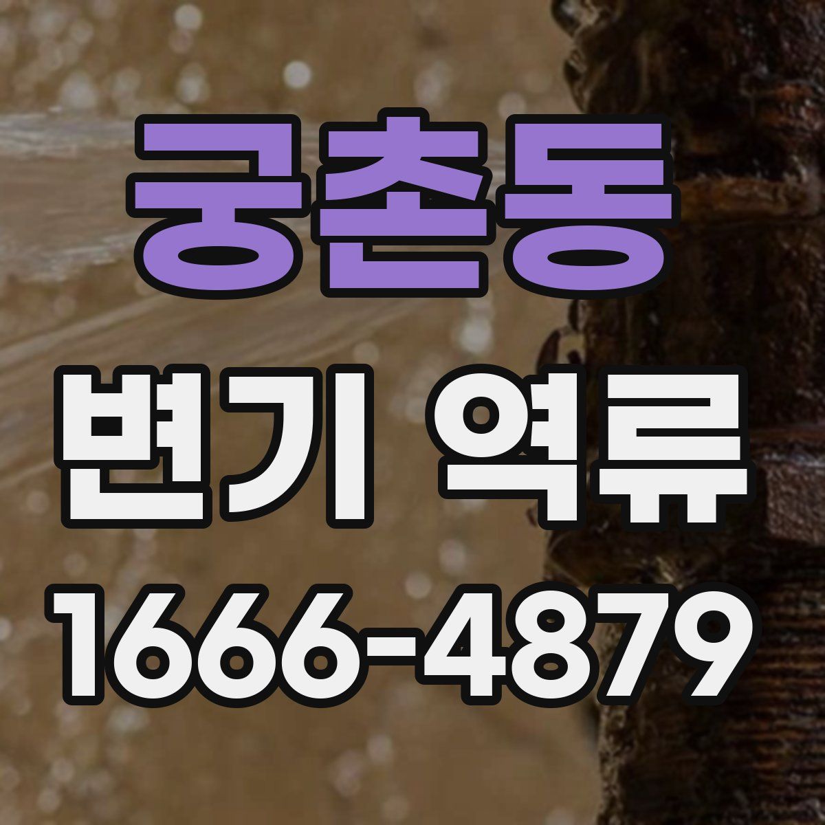 궁촌동 변기 역류