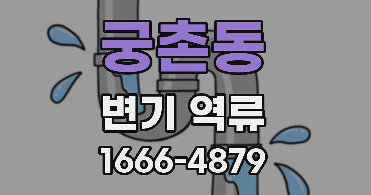 궁촌동 변기 역류