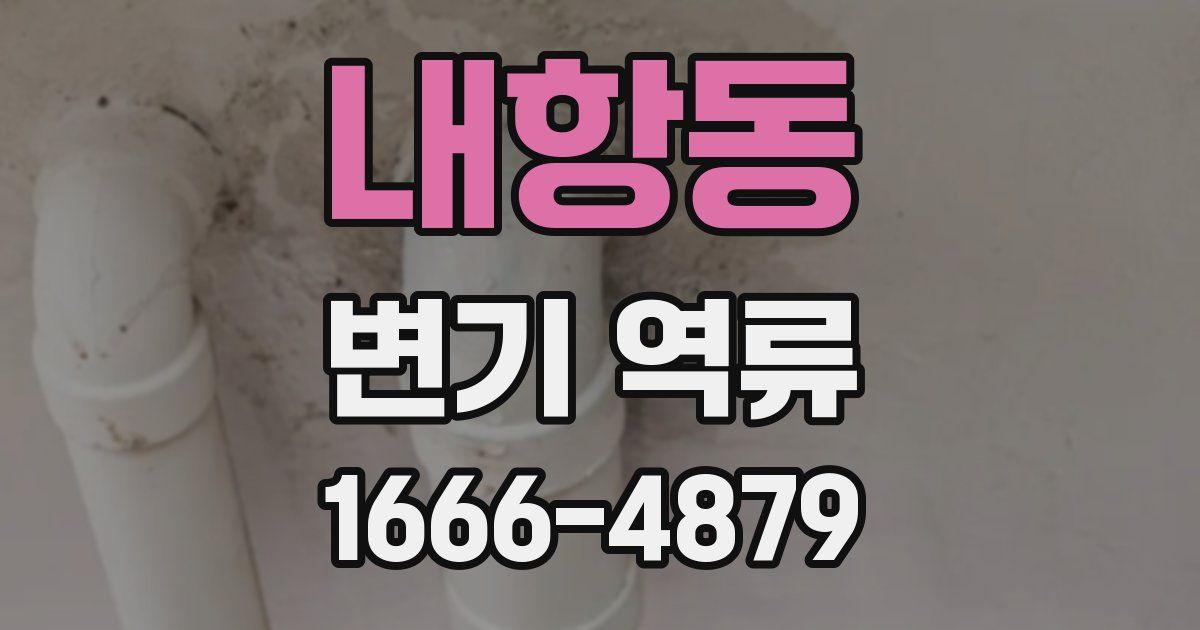 내항동 변기 역류
