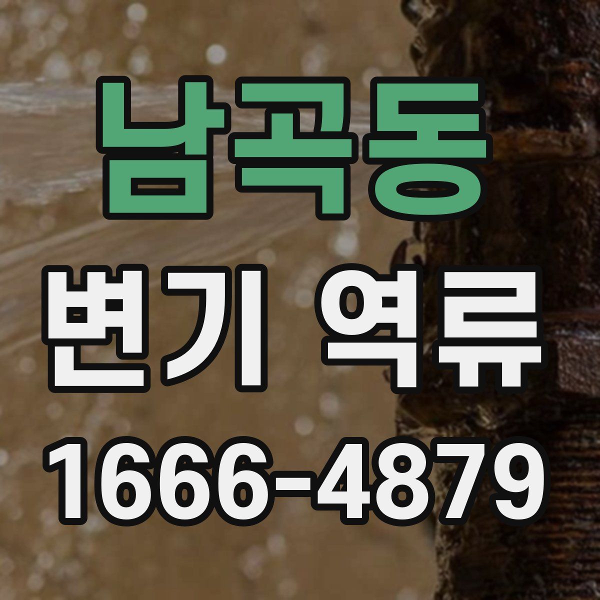 남곡동 변기 역류