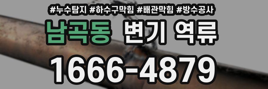 남곡동 변기 역류