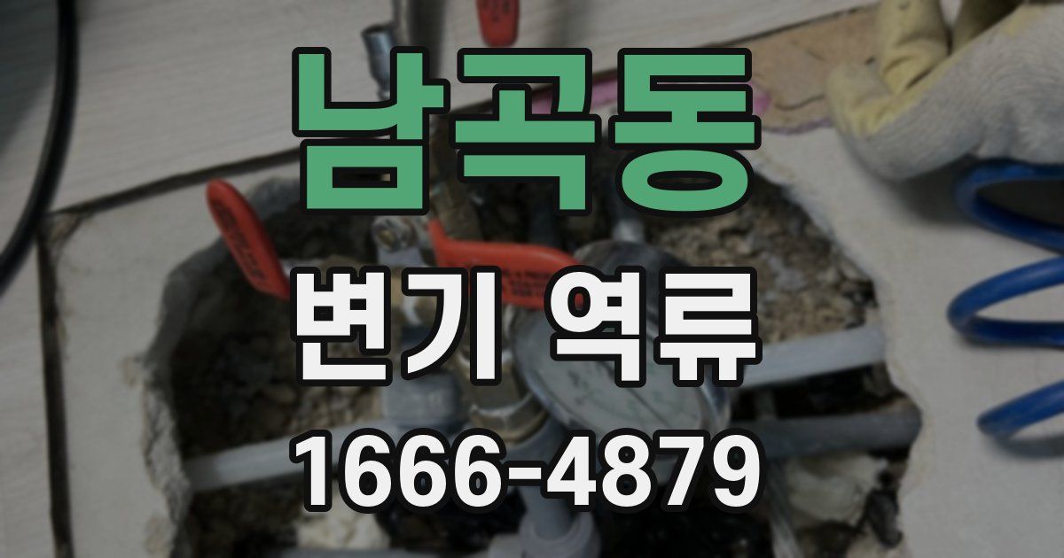 남곡동 변기 역류