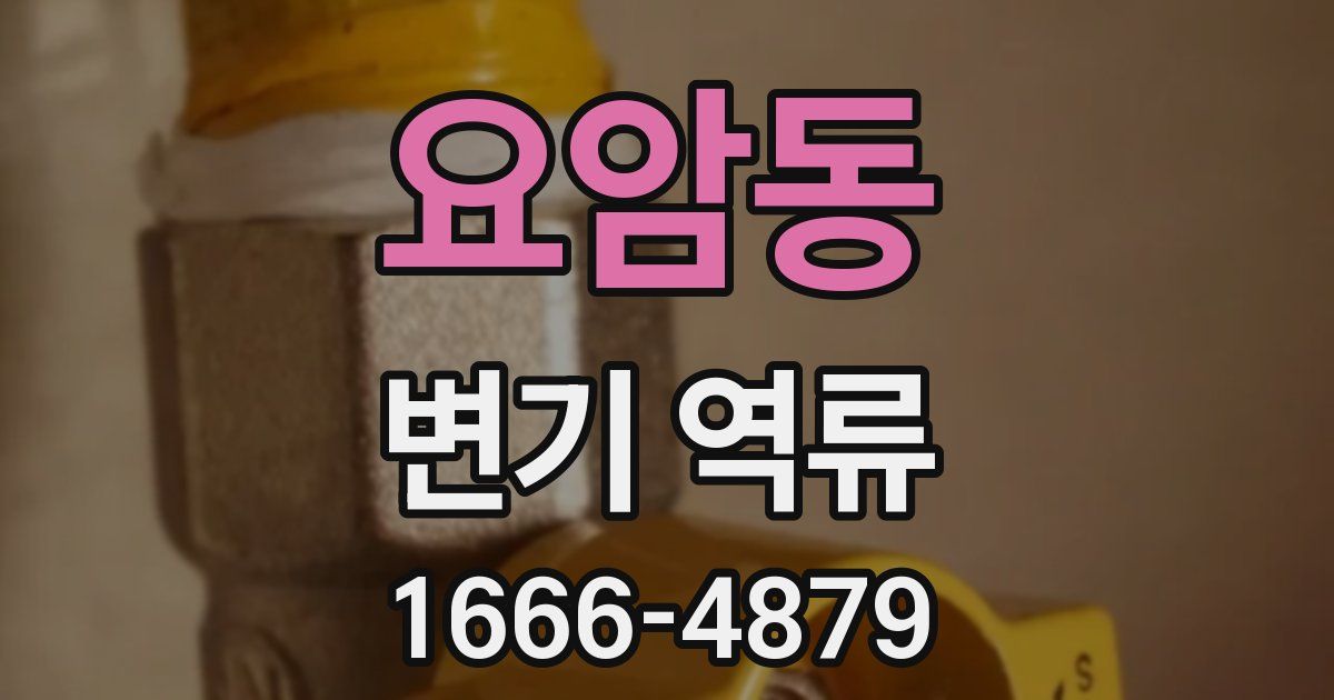 요암동 변기 역류