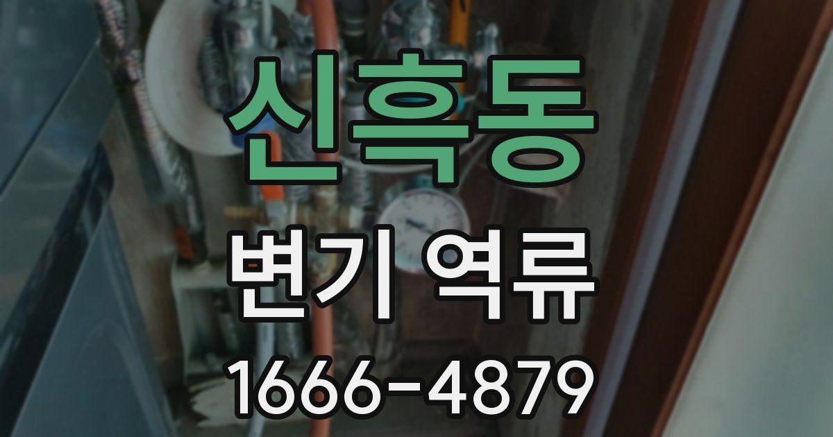 신흑동 변기 역류