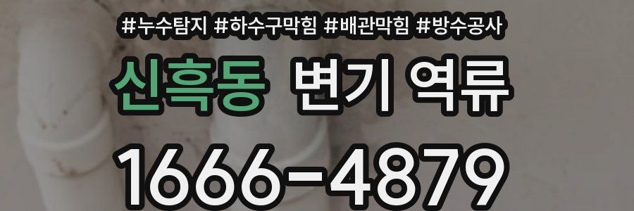 신흑동 변기 역류