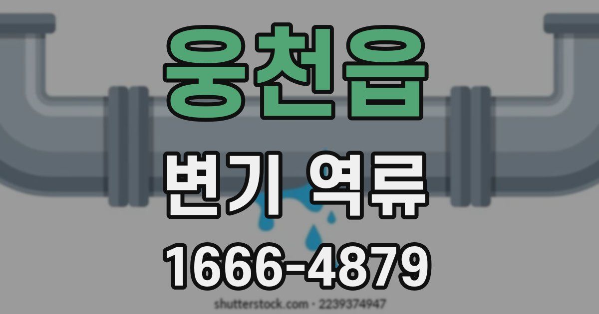 웅천읍 변기 역류