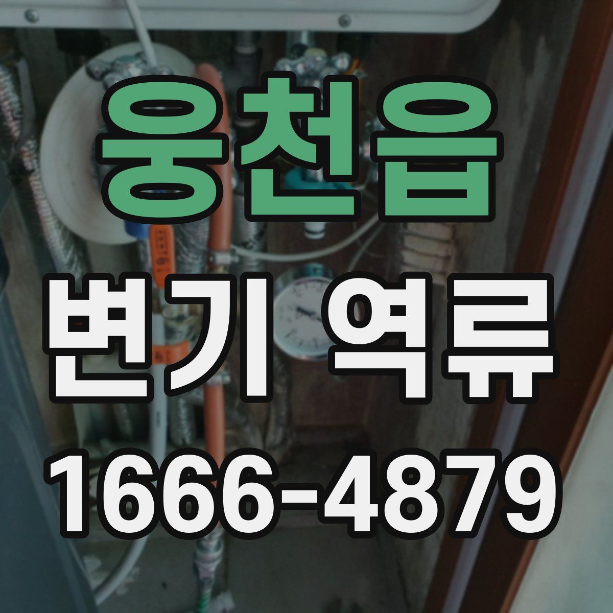 웅천읍 변기 역류