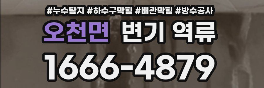 오천면 변기 역류