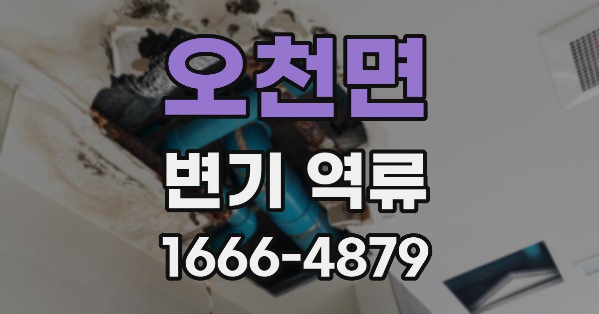 오천면 변기 역류