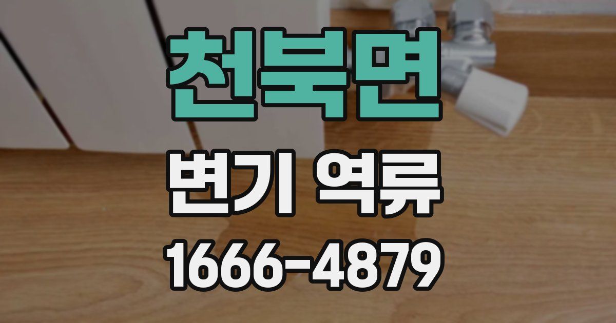 천북면 변기 역류