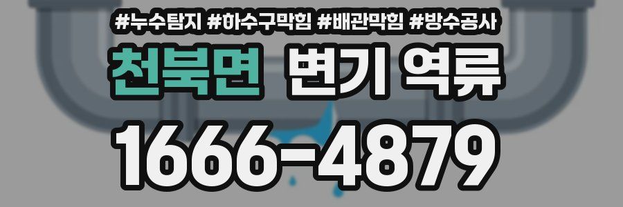 천북면 변기 역류
