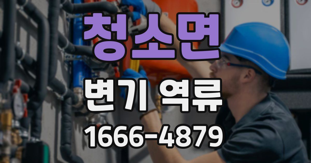 청소면 변기 역류