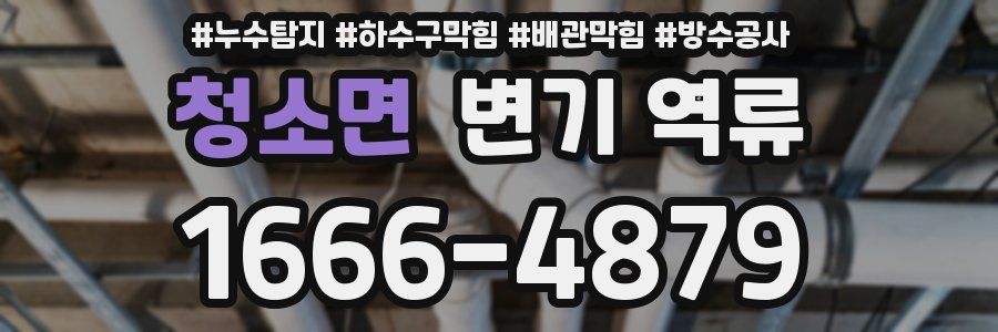 청소면 변기 역류