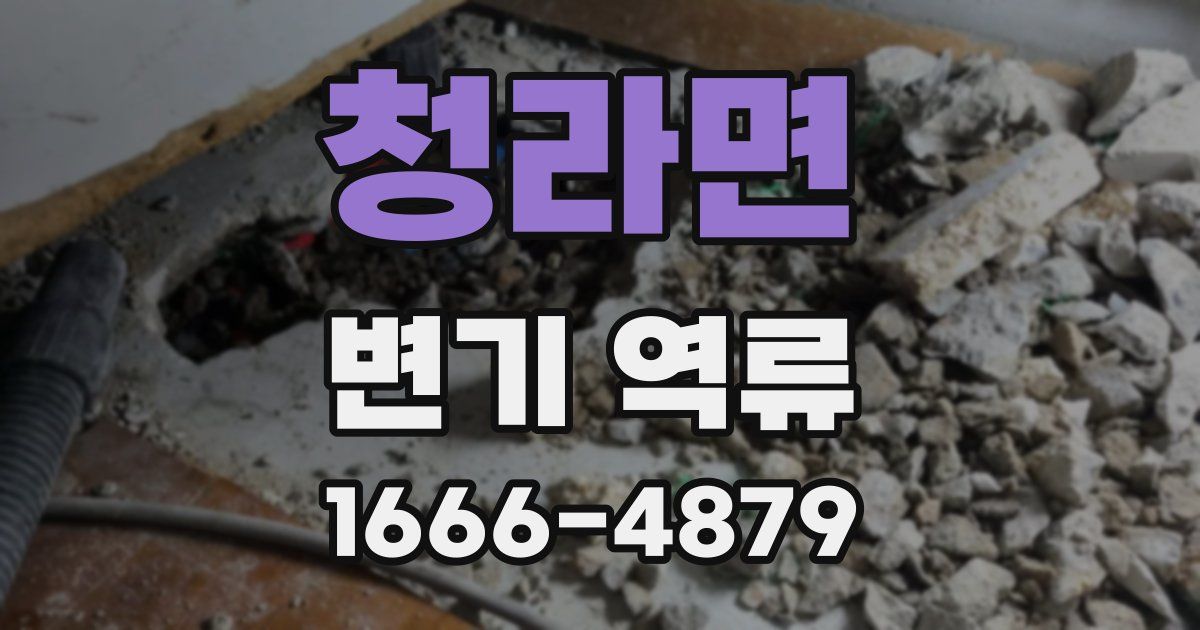 청라면 변기 역류
