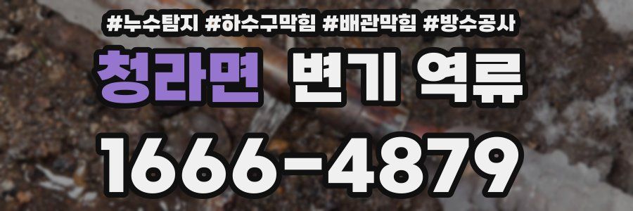 청라면 변기 역류