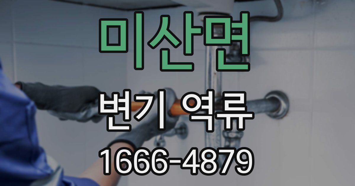 미산면 변기 역류