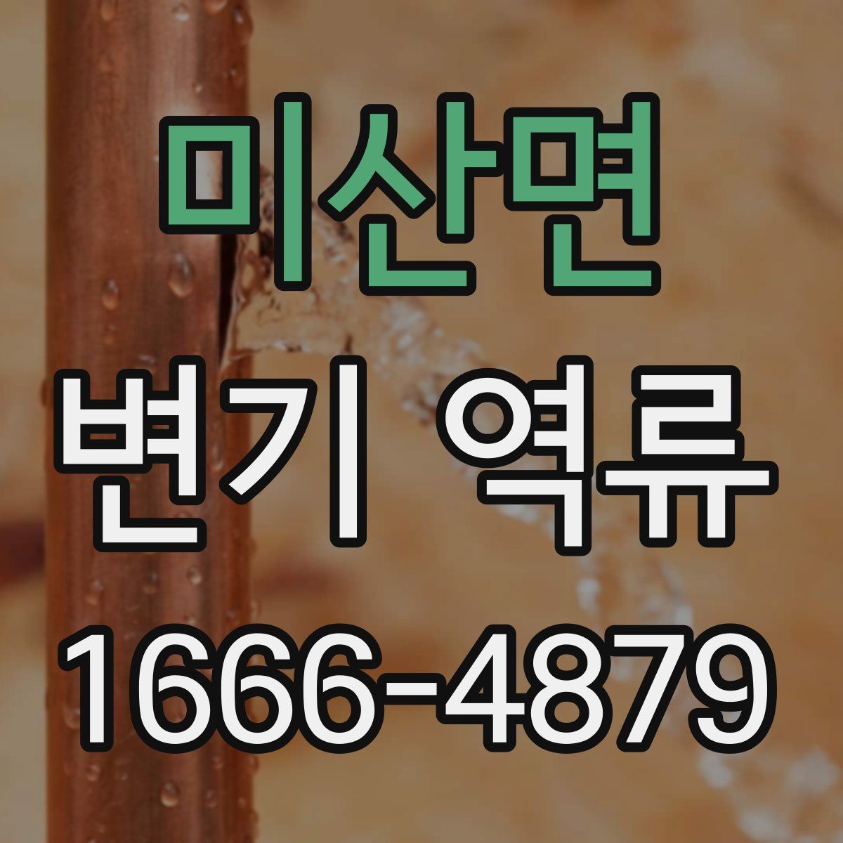 미산면 변기 역류