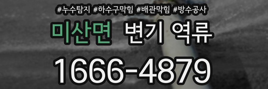 미산면 변기 역류