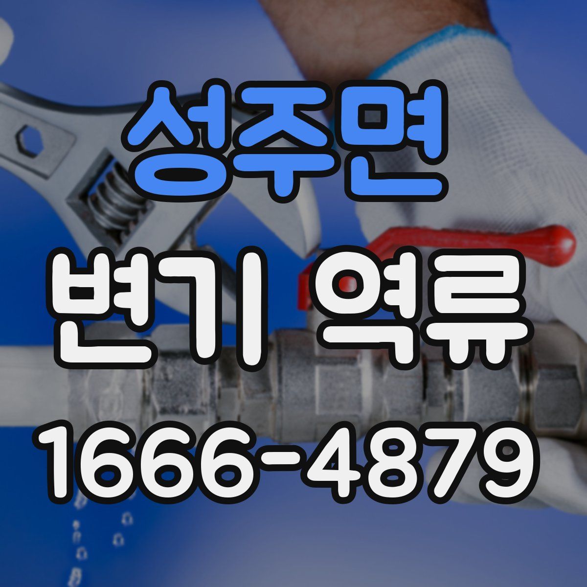 성주면 변기 역류