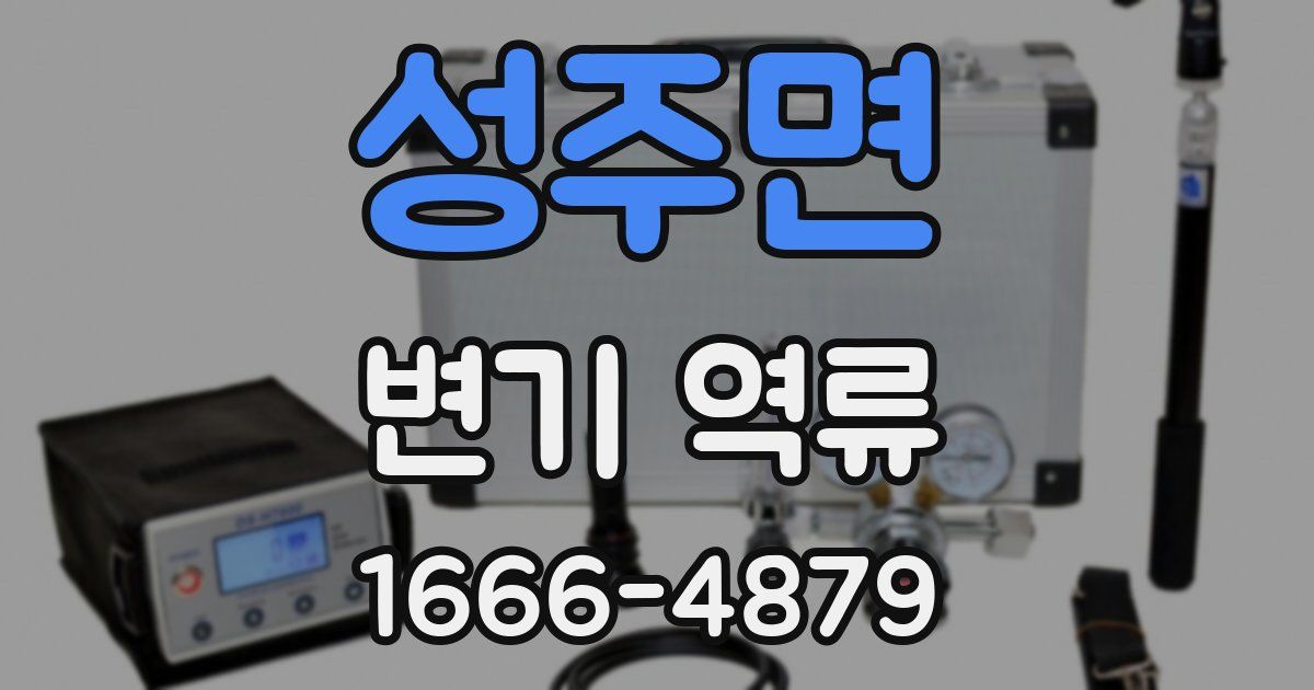 성주면 변기 역류