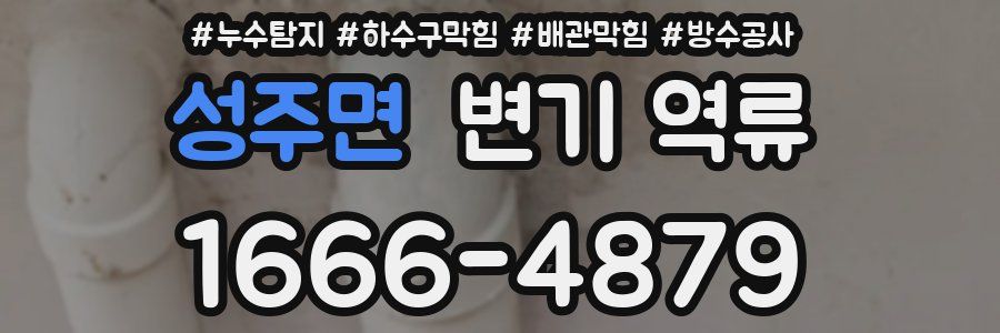 성주면 변기 역류