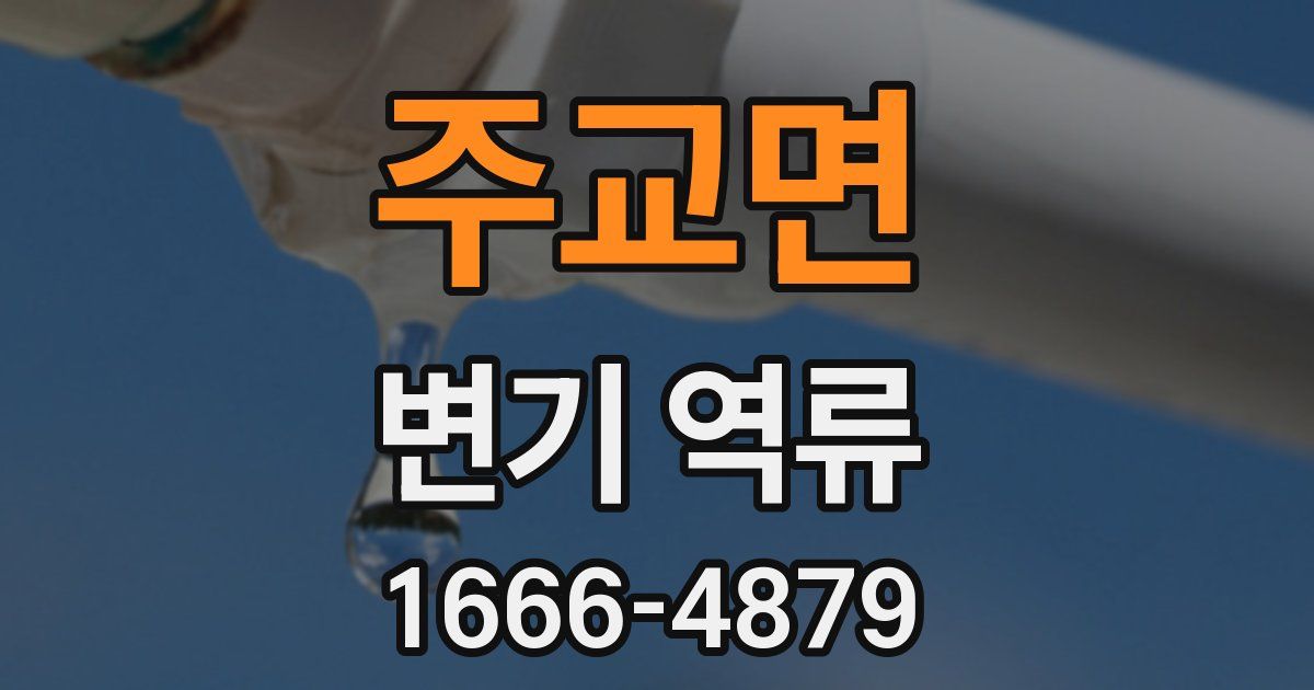 주교면 변기 역류