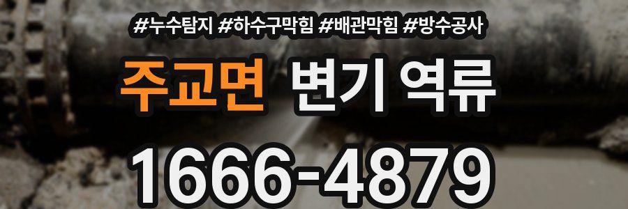 주교면 변기 역류