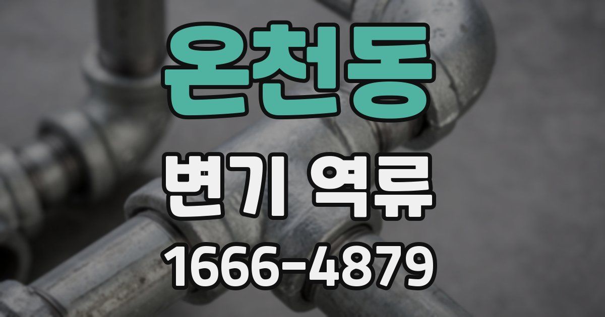 온천동 변기 역류