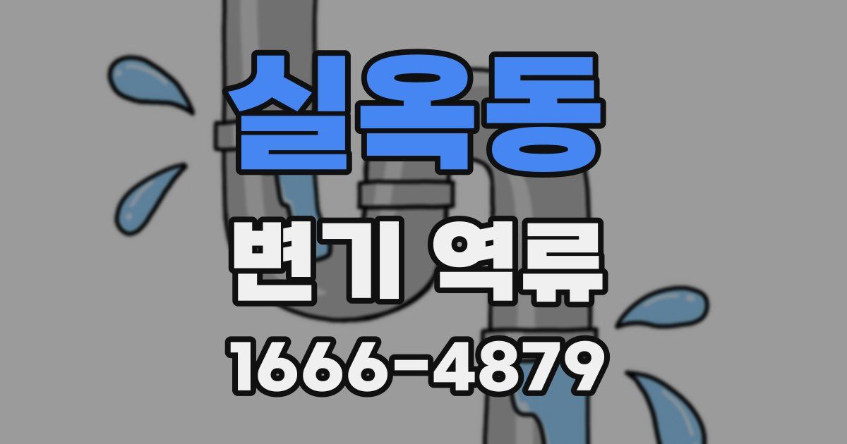 실옥동 변기 역류