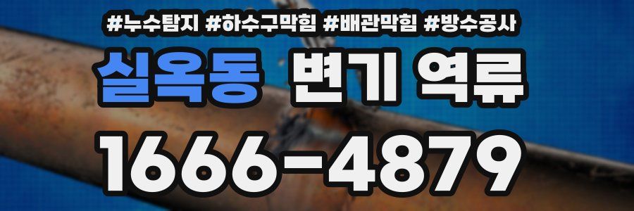 실옥동 변기 역류