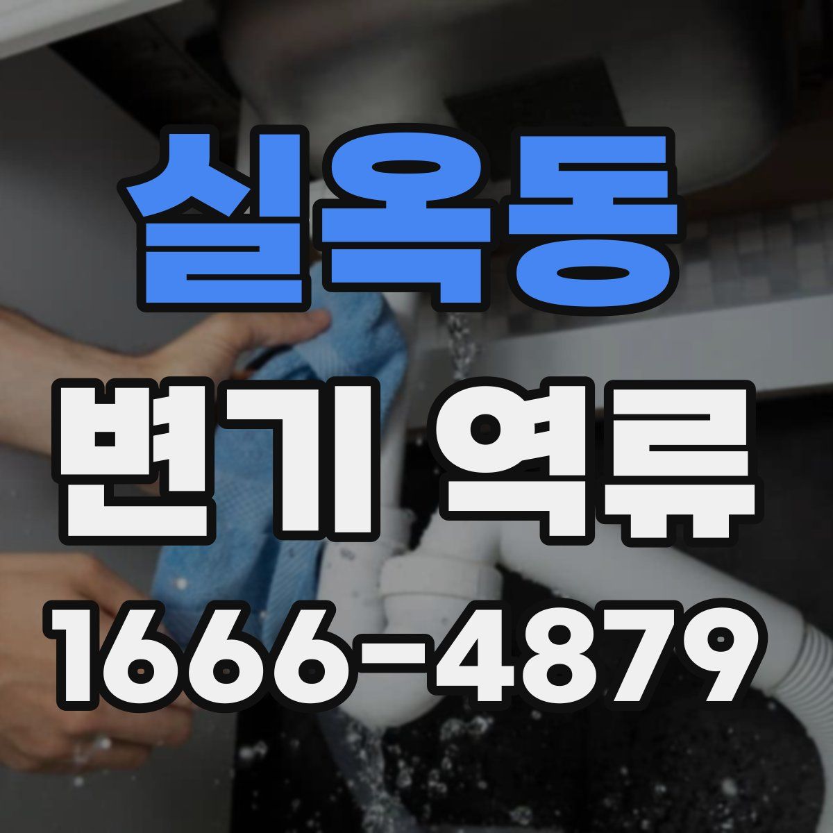 실옥동 변기 역류