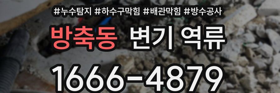 방축동 변기 역류