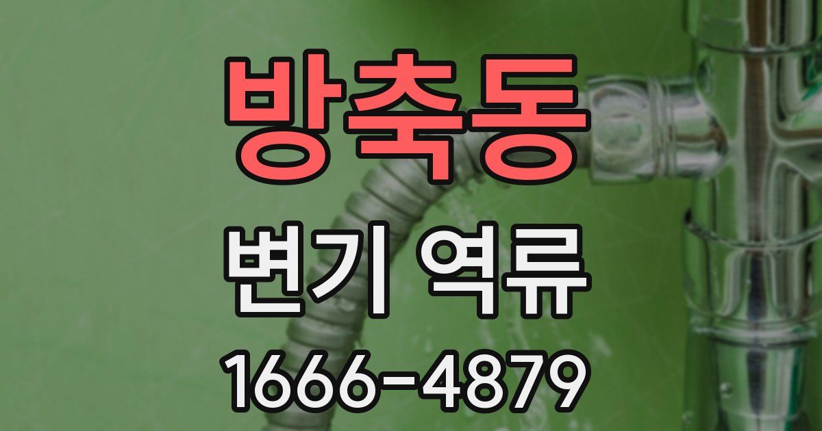 방축동 변기 역류