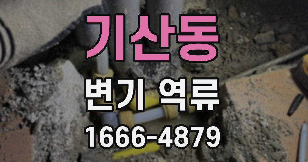 기산동 변기 역류