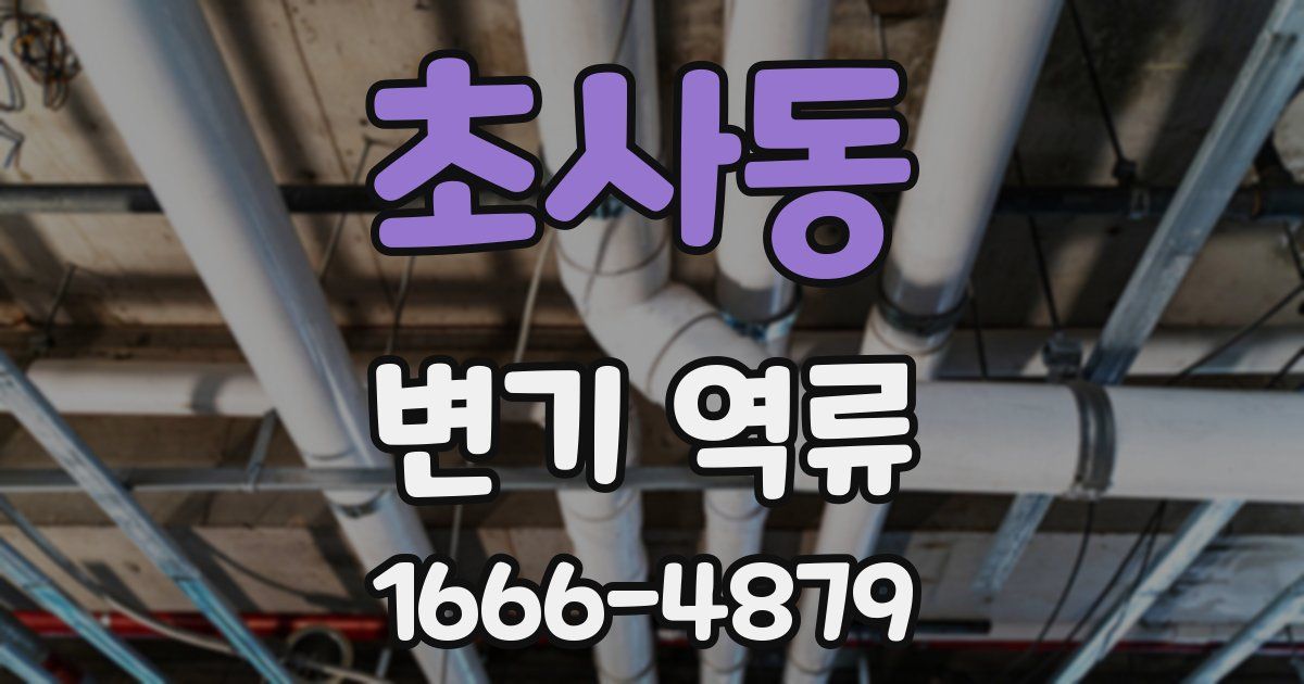 초사동 변기 역류